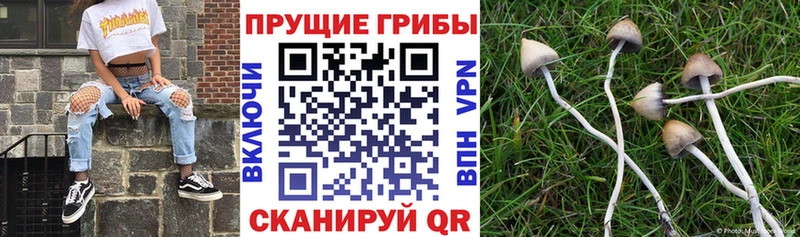 наркота  Отрадный  гидра рабочий сайт  Галлюциногенные грибы ЛСД 